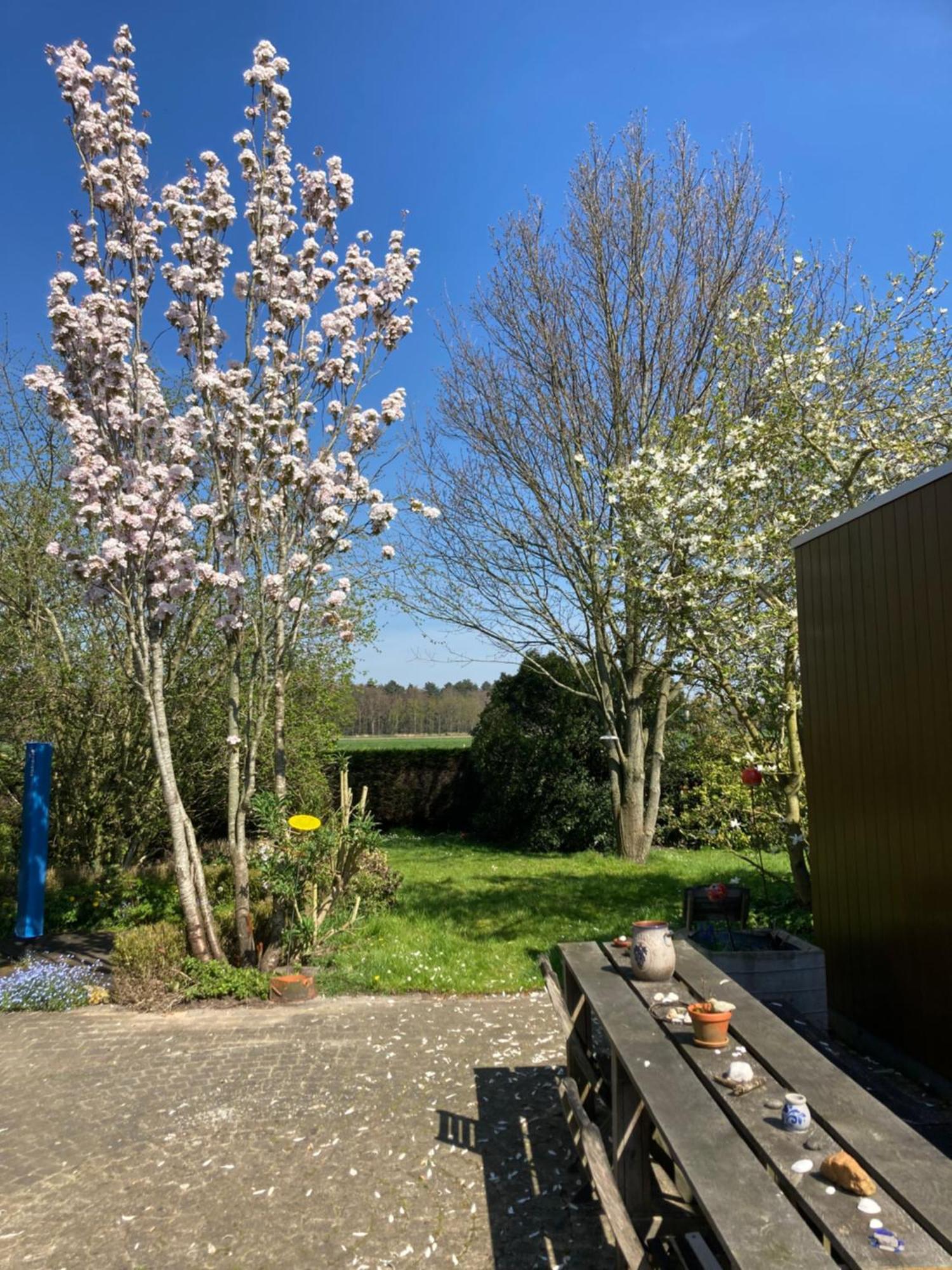 B&B Koornemoezen Zedelgem Bagian luar foto